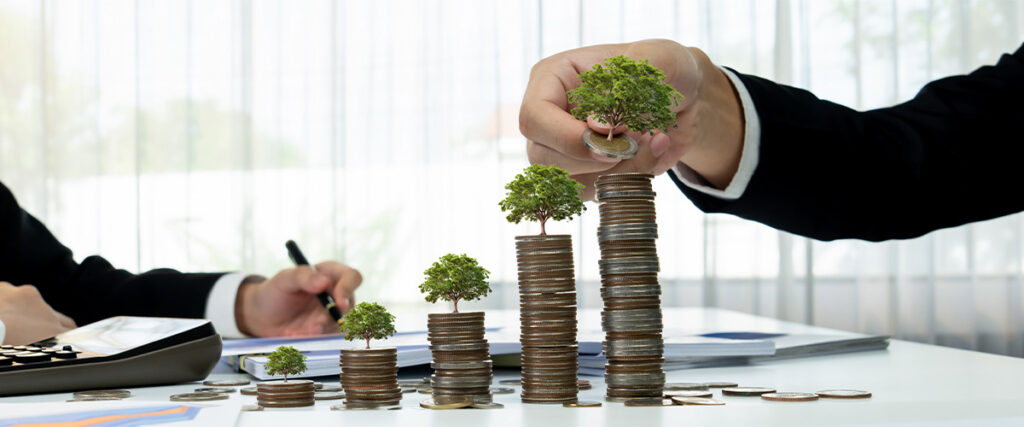 Professional wealth management services focused on long-term wealth preservation